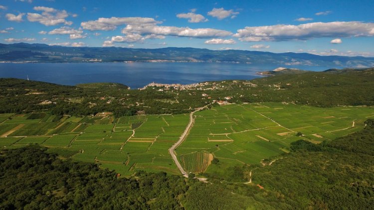 Der Blick auf die schöne Landschaft von Vrbnik, Foto: Ivo Biočina, HTZ