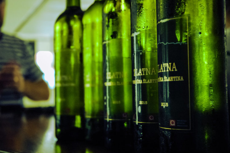 Vrbnička Žlahtina - die berühmte Wein unserer goldenen Insel