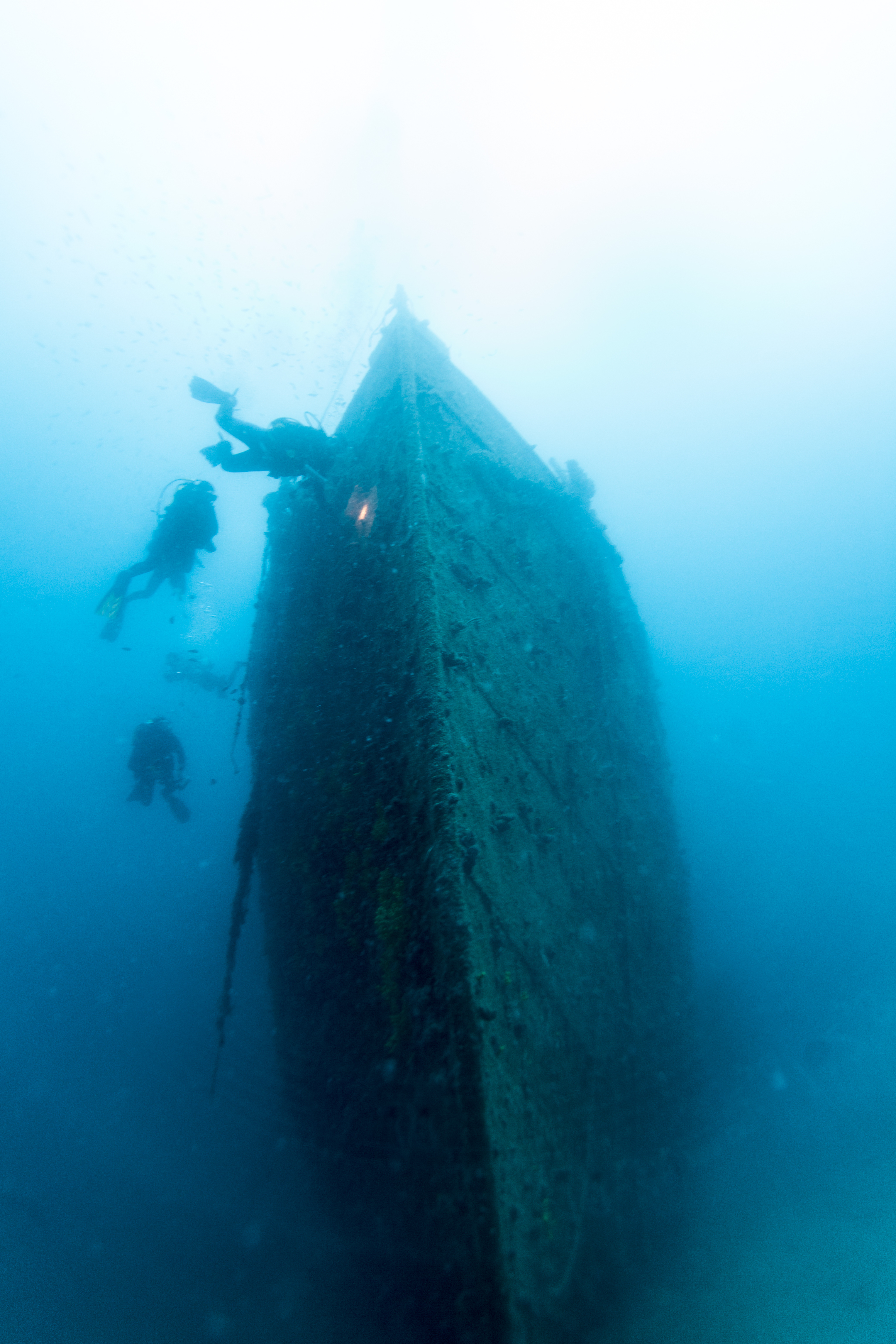 Diving Krk - a shipwreck