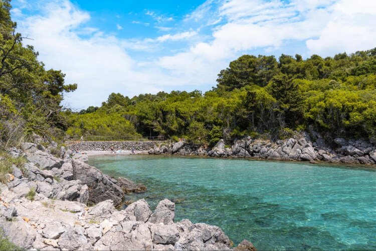 Walking route on Krk island with rocky shoreline, trees and coastal views