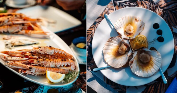 Kvarner-Scampi und Austern, zubereitet im Restaurant Marina Blue auf Krk
