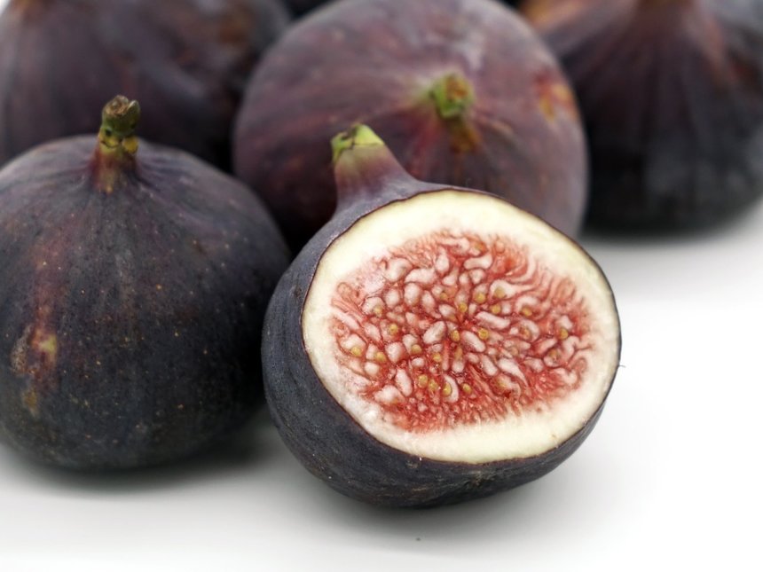 Join us at Fig days in Krk! Join us at Fig days in Krk!