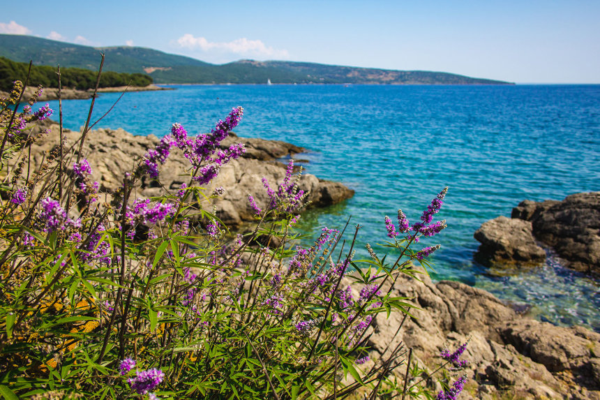 Frühling auf der Insel Krk